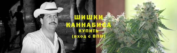 МДПВ Осинники