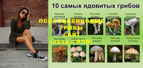 тгк Алексеевка